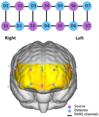 Low-dissipation optimization of the prefrontal cortex in the −12° head-down tilt position: A functional near-infrared spectroscopy study